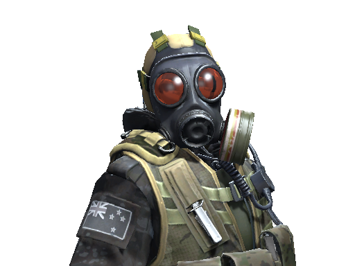 D Squadron Officer