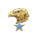 Master Guardian Elite